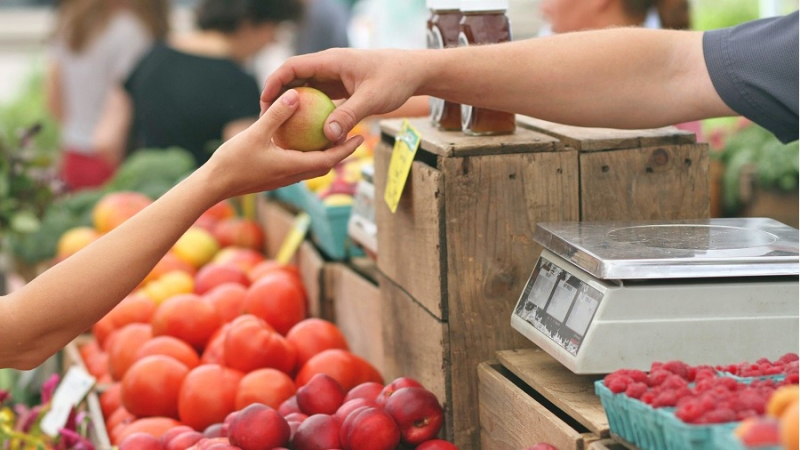 Agrotóxicos ou medicamentos oncológicos: o que deve chegar primeiro